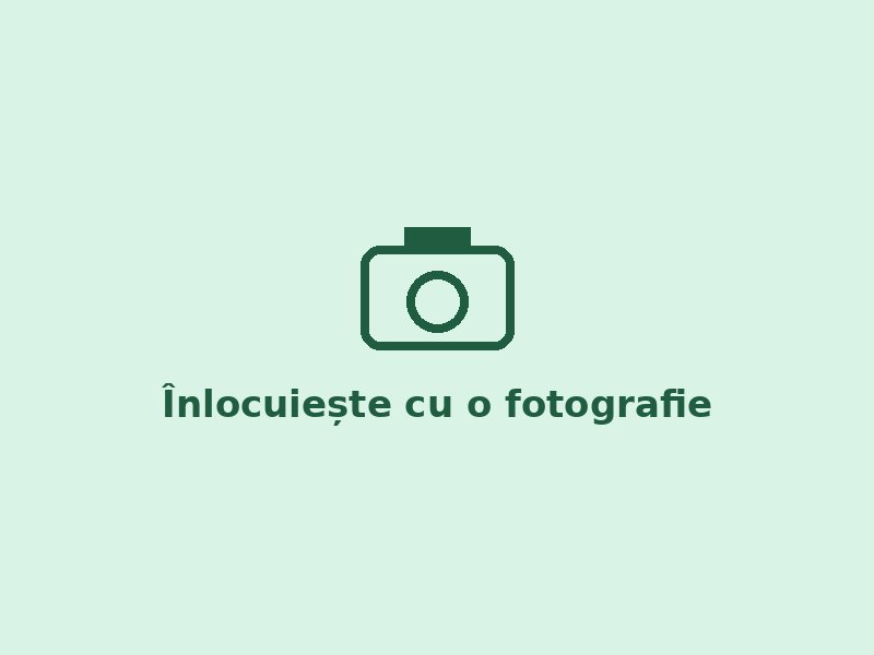 Activitate cu copiii
